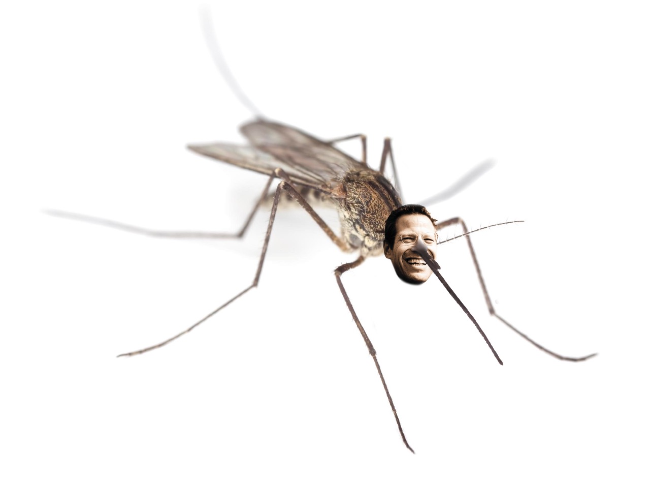Mosquito Kenny