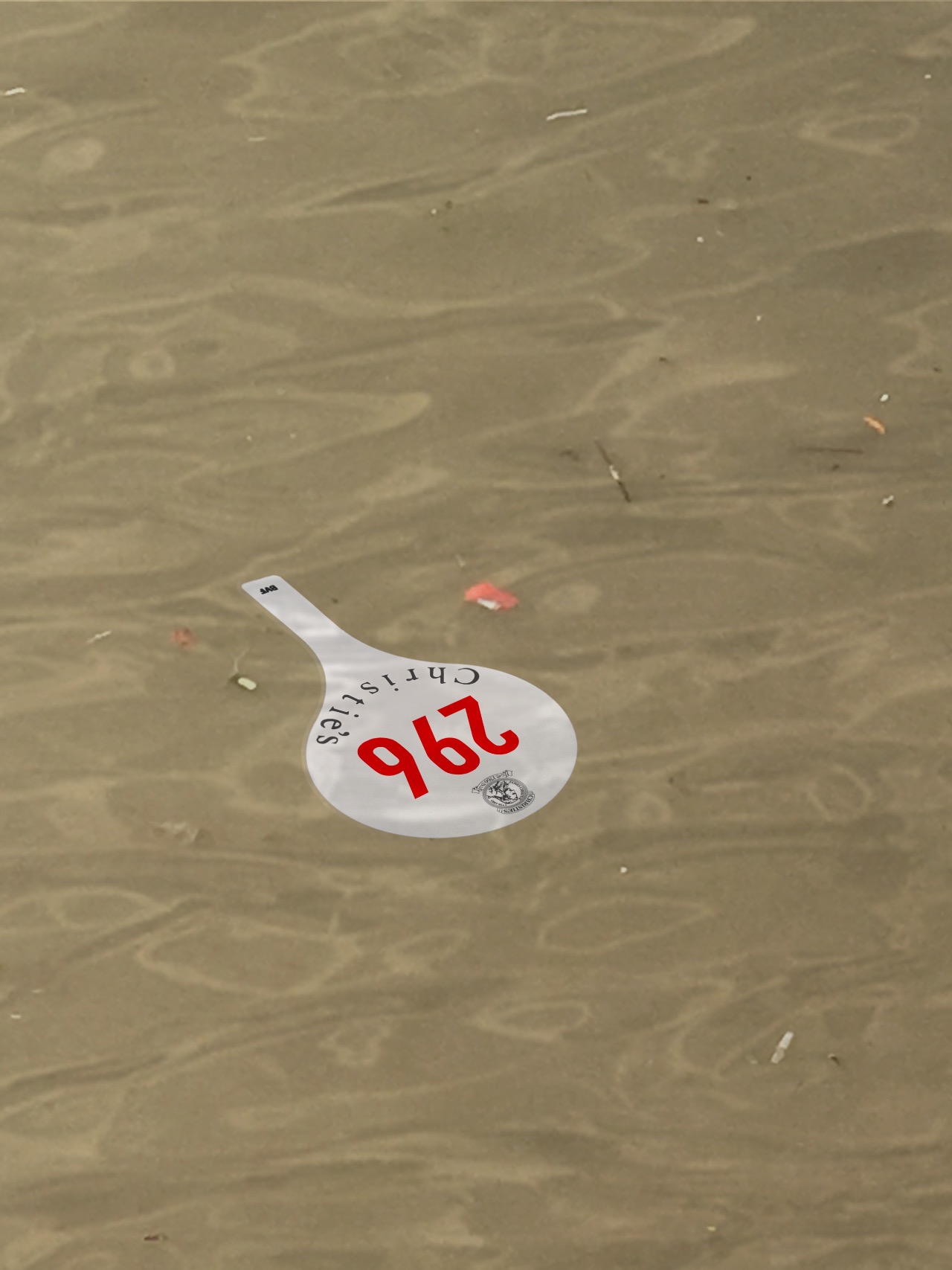 Thames Christie’s paddle