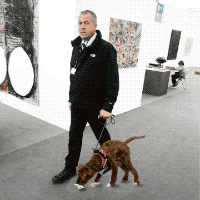 Artnet dog
