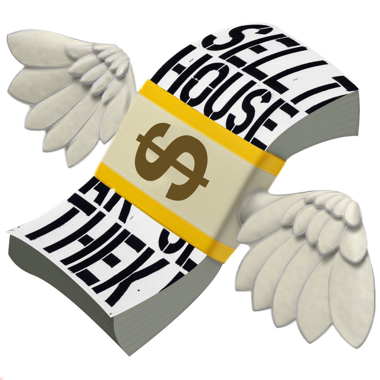 Money with wings Wool