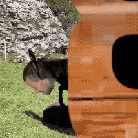 The Kenny and Joel Show