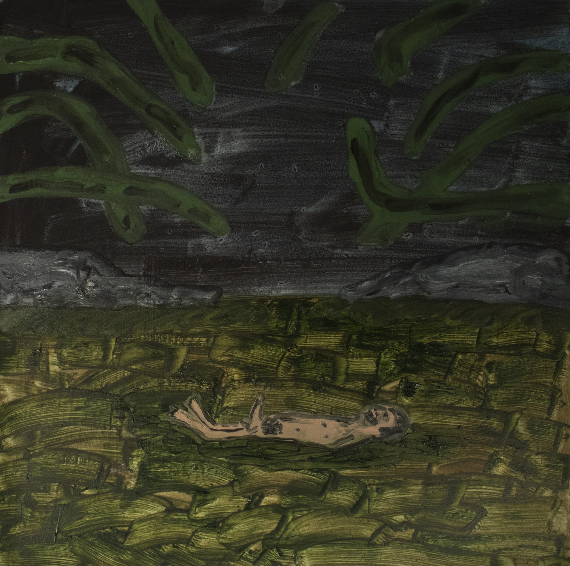 Comforted by the murk