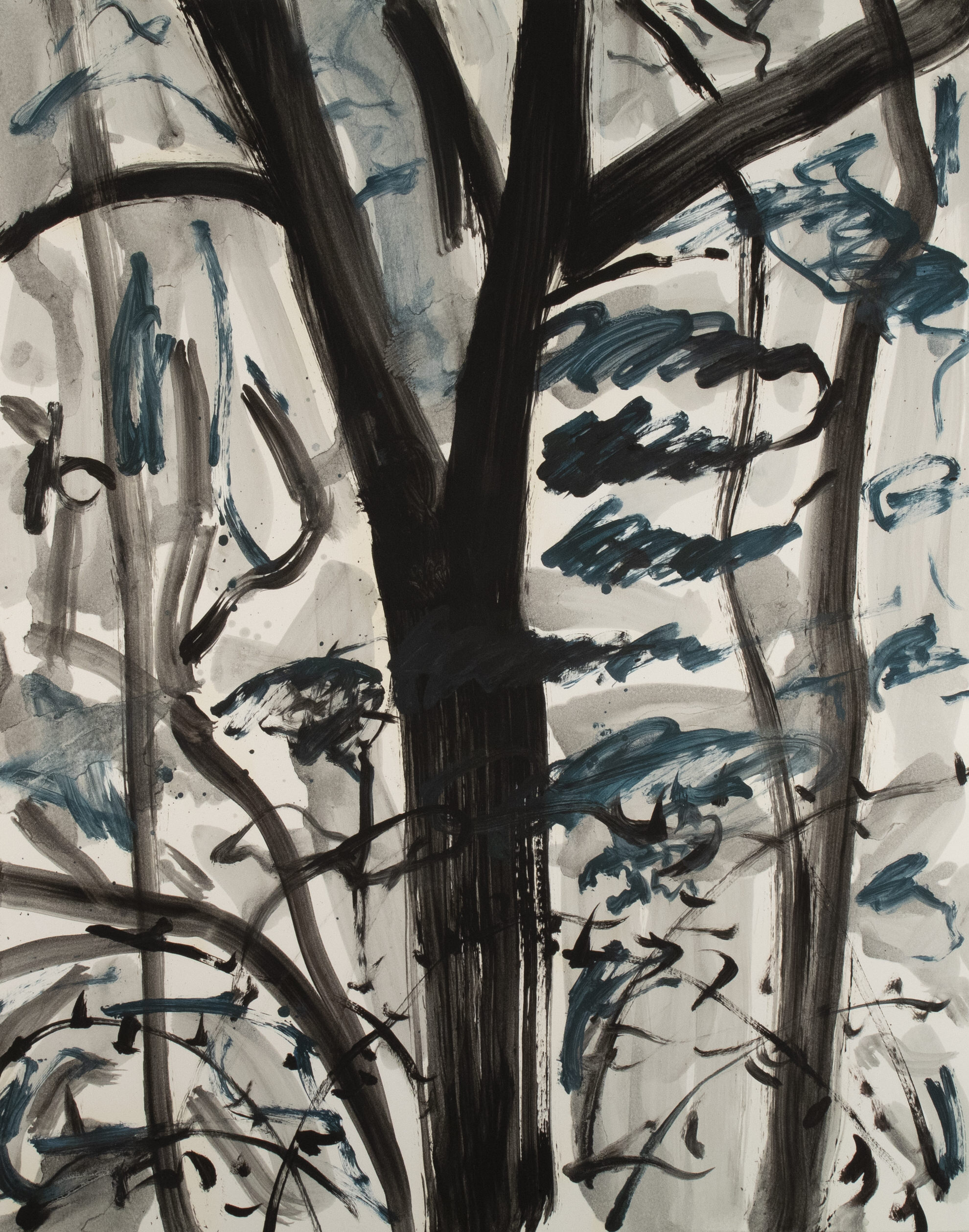 Tree study