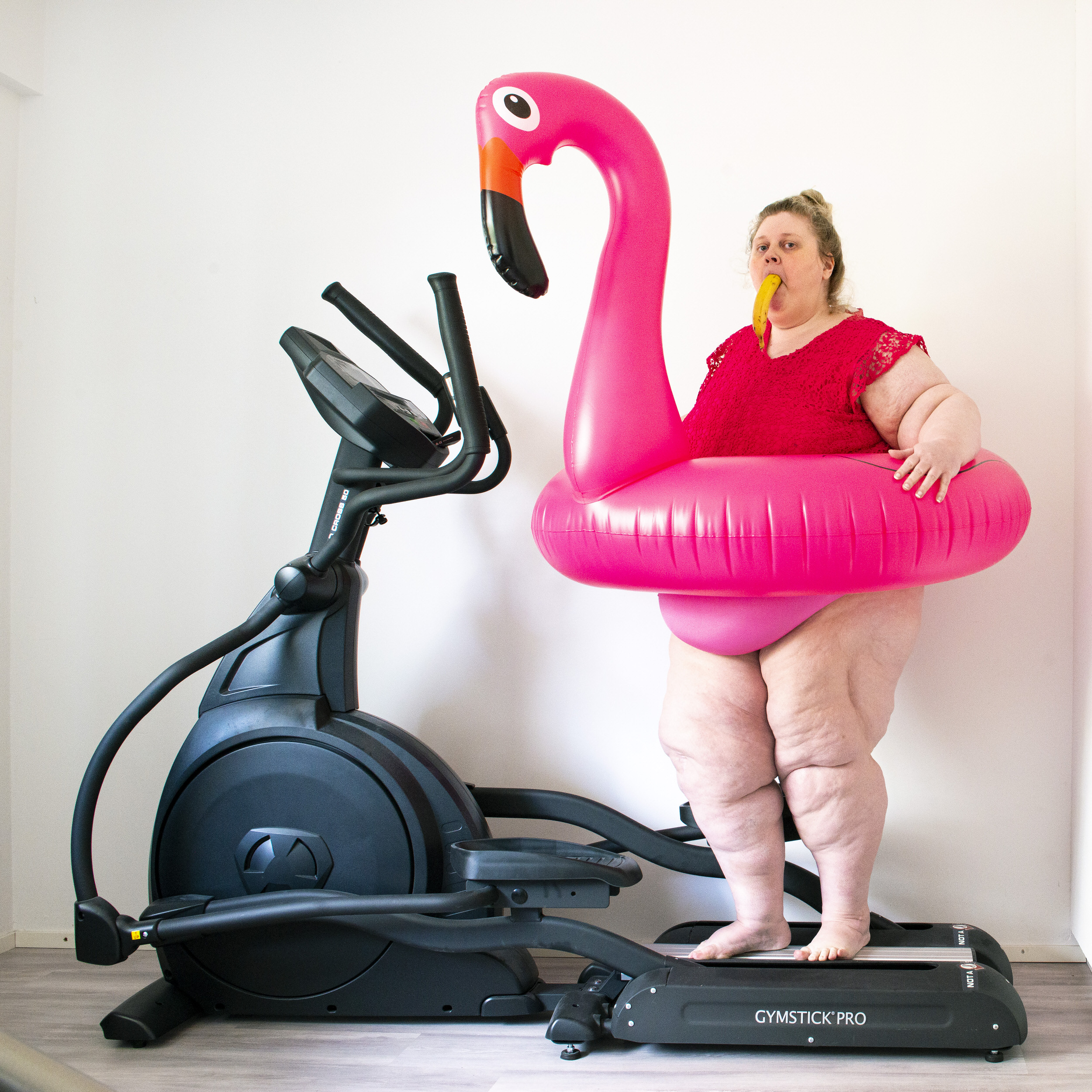Two Flamingos