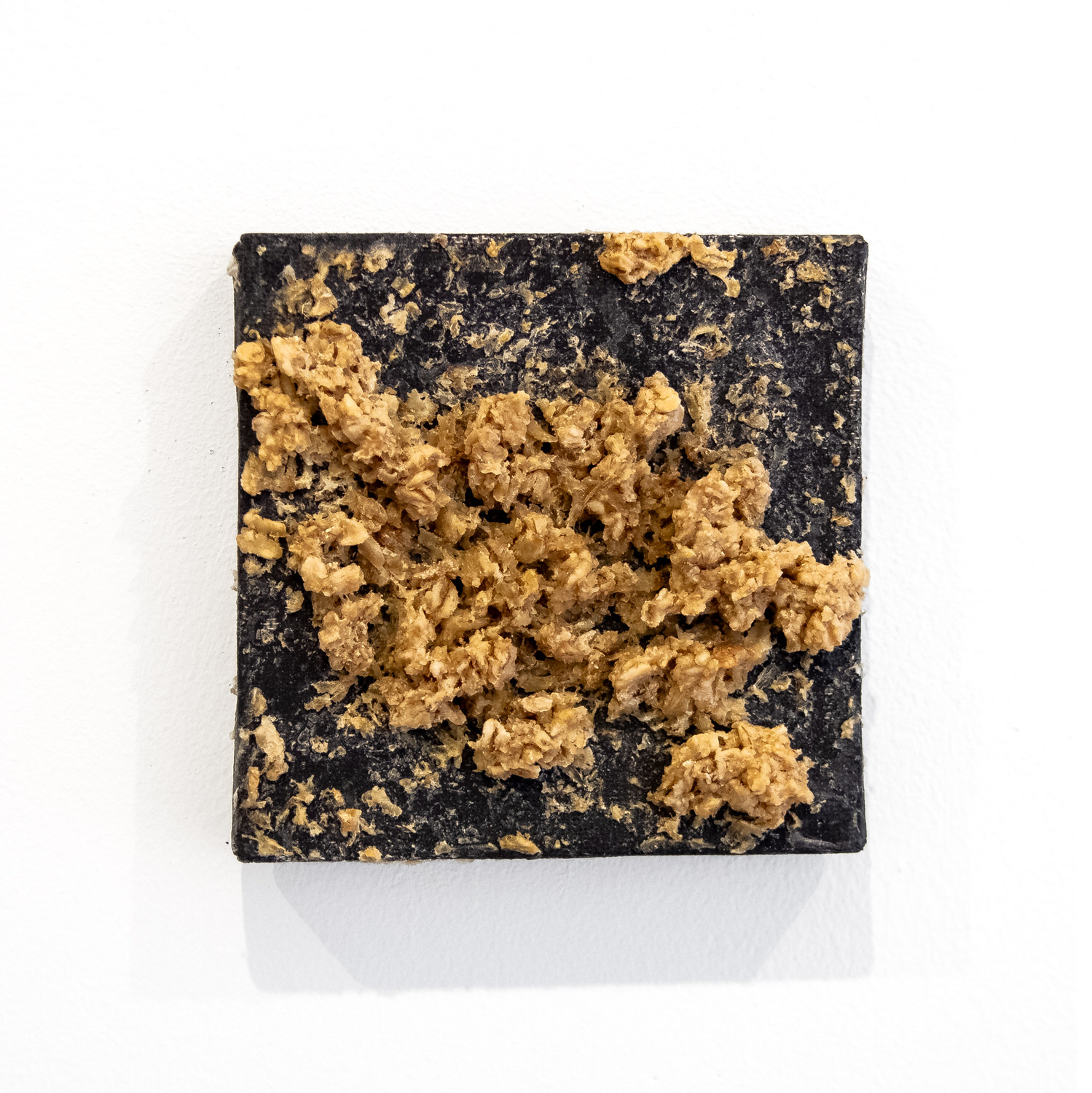 Untitled (Chicken Stingel: Canvases) B1