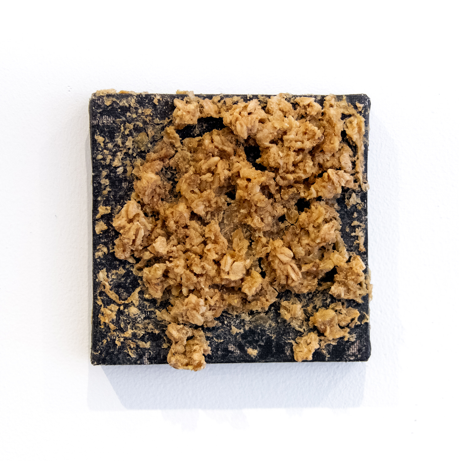 Untitled (Chicken Stingel: Canvases) B2