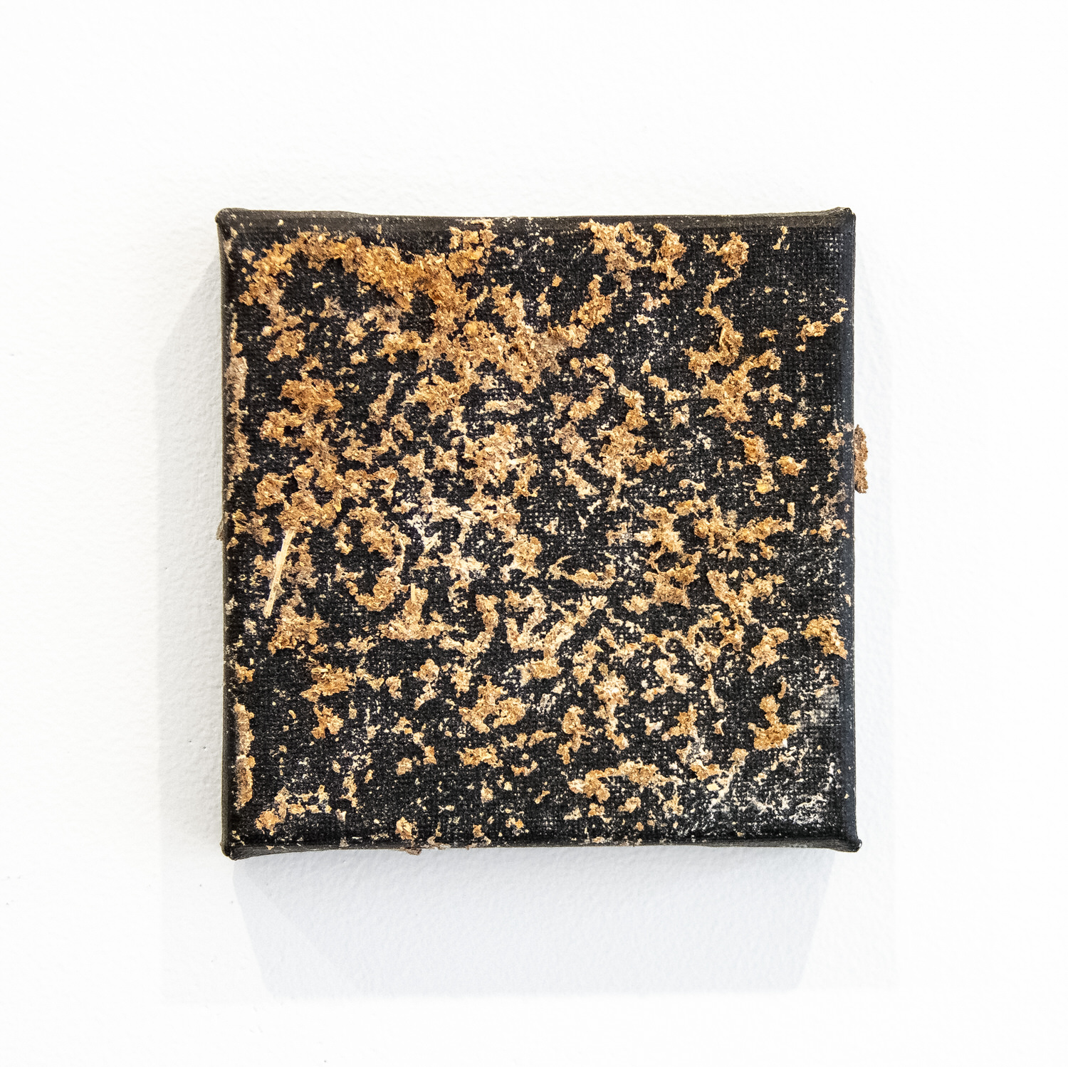 Untitled (Chicken Stingel: Canvases) B4