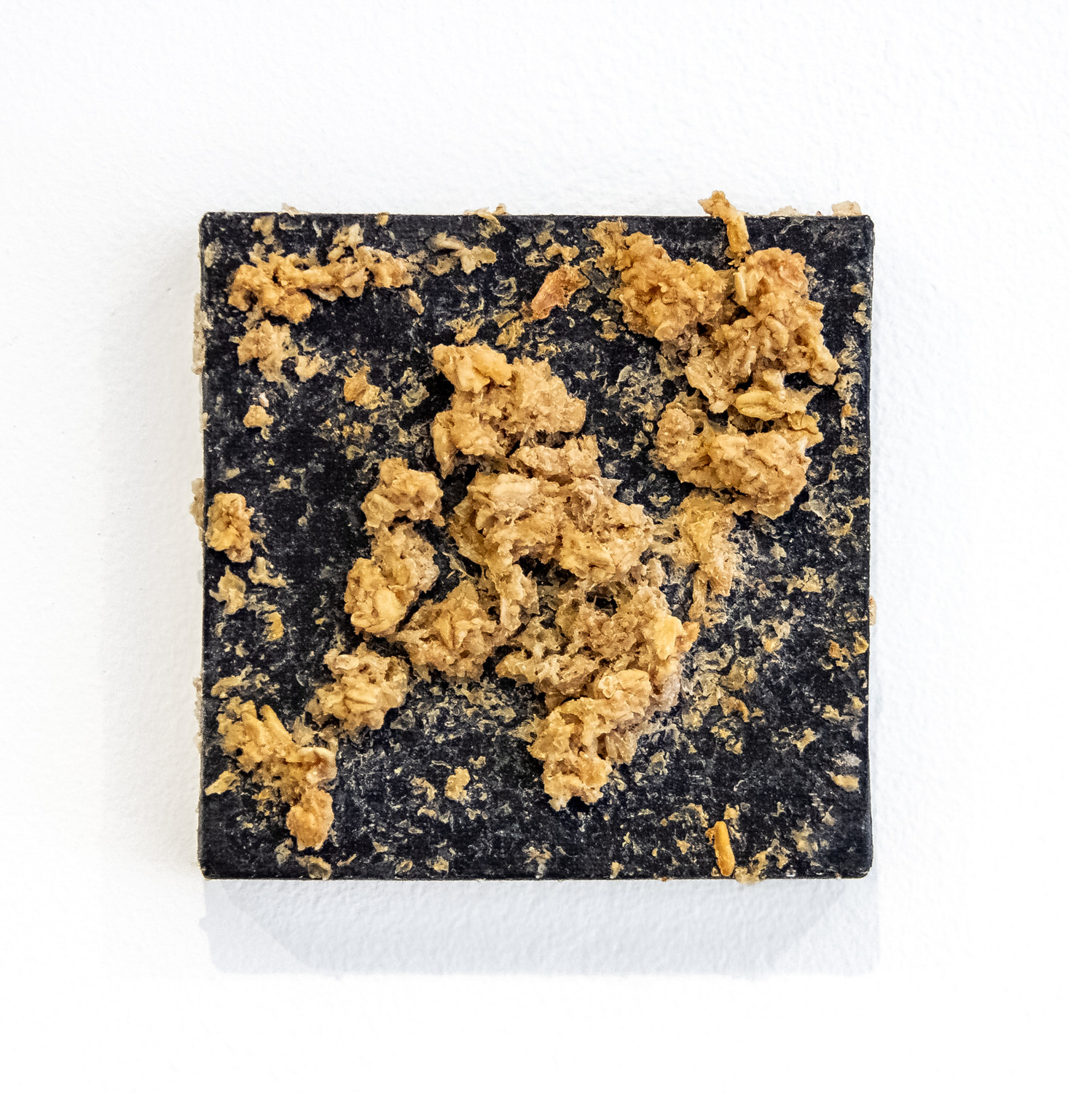 Untitled (Chicken Stingel: Canvases) B5