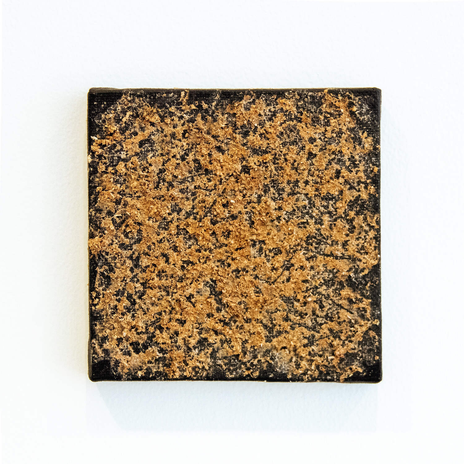 Untitled (Chicken Stingel: Canvases) B6