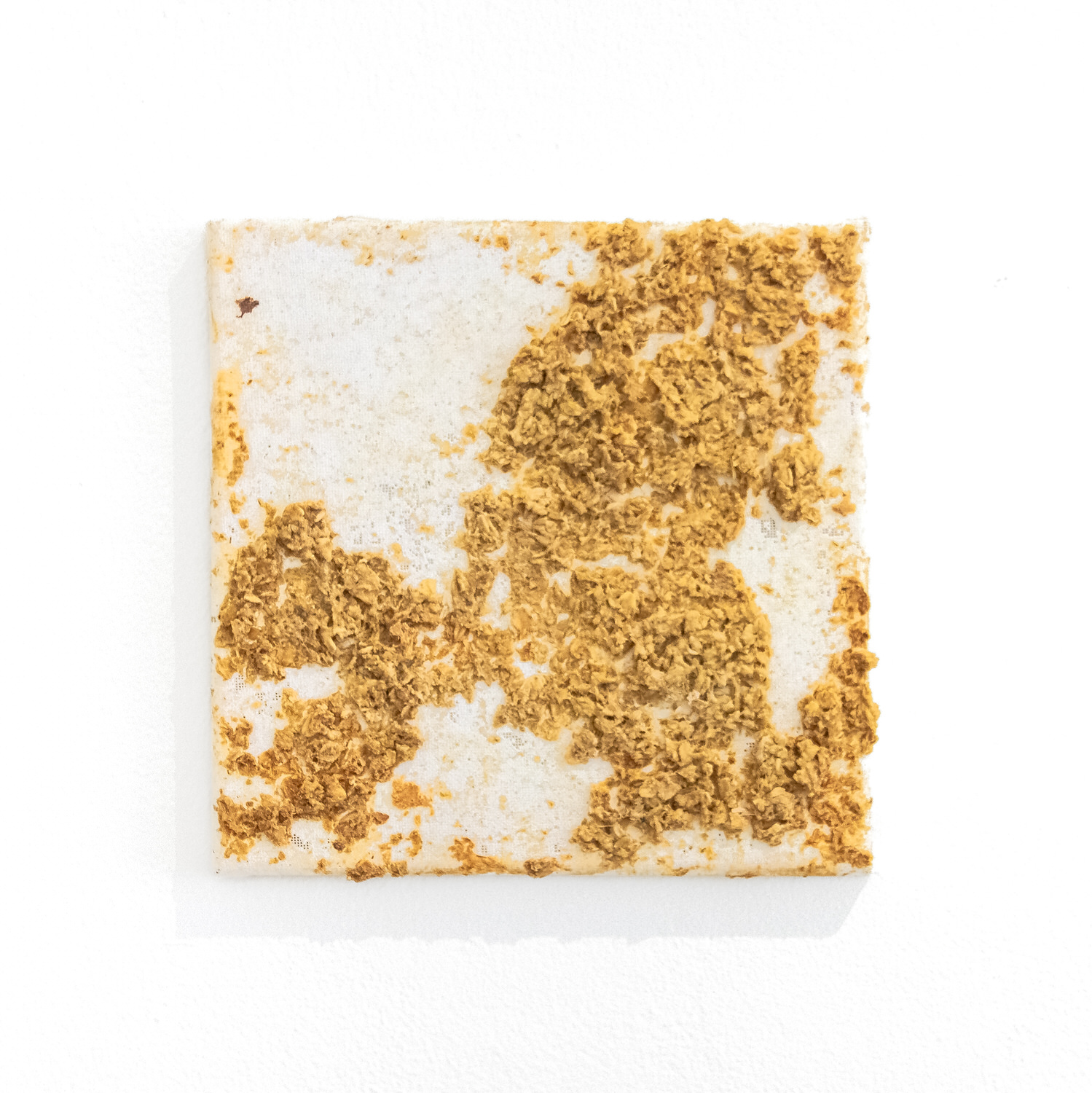 Untitled (Chicken Stingel: Canvases) W1