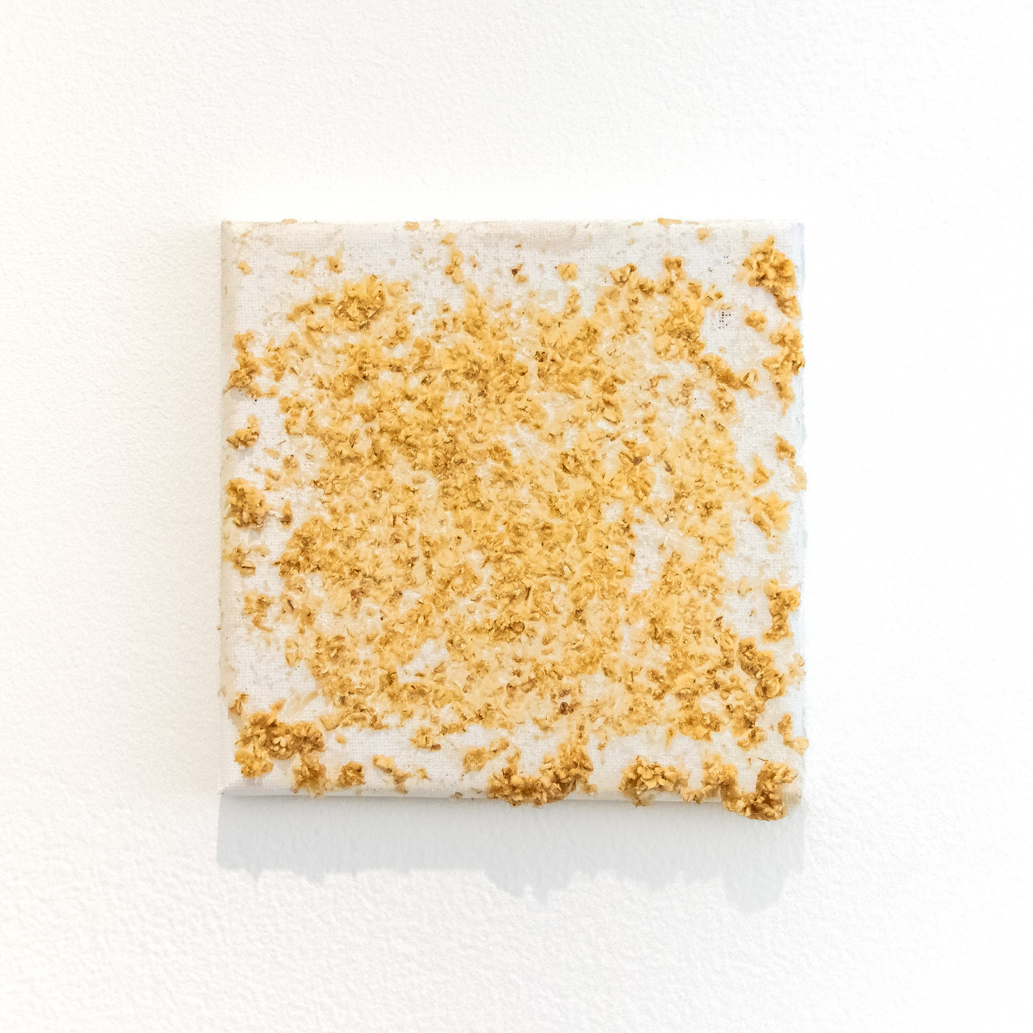 Untitled (Chicken Stingel: Canvases) W2