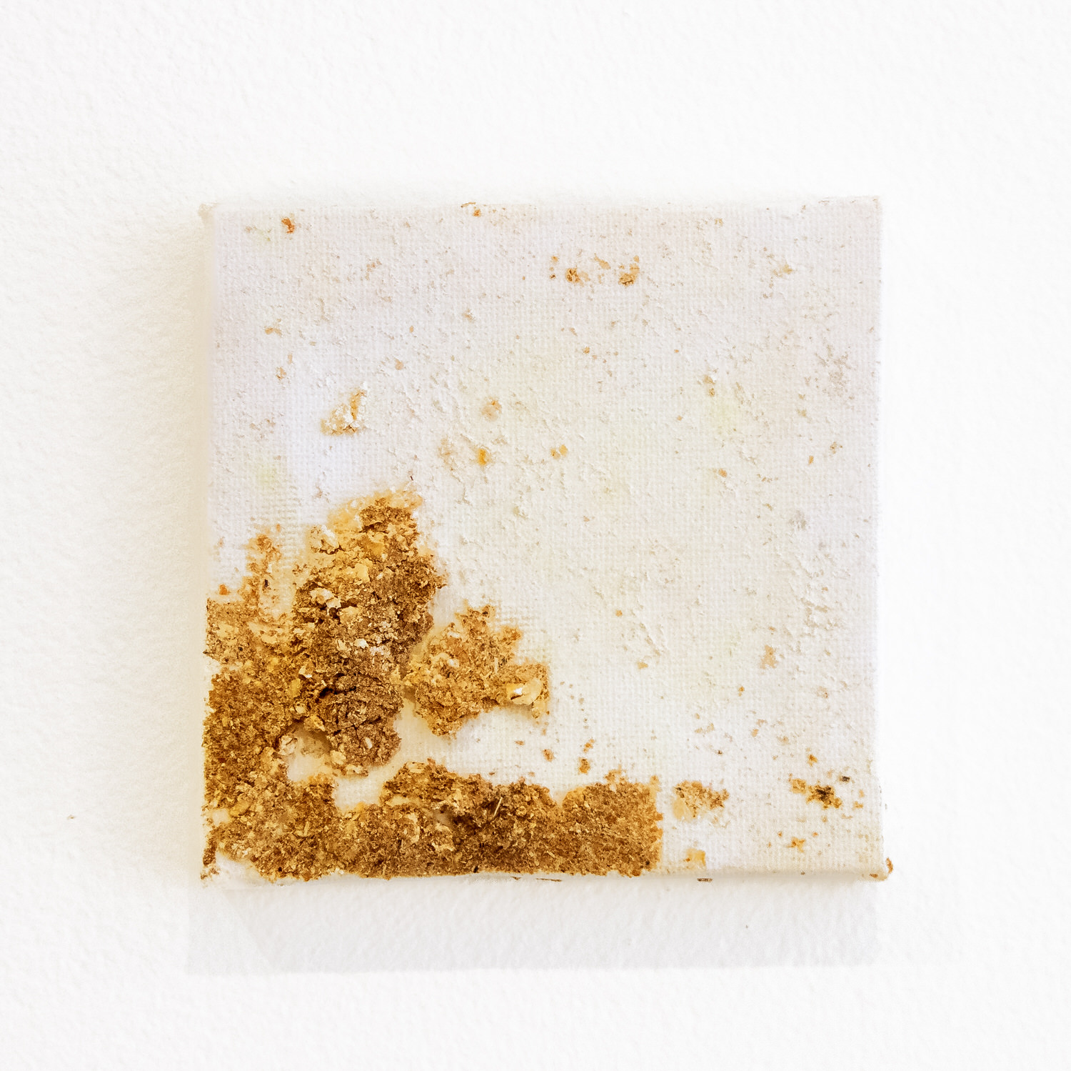 Untitled (Chicken Stingel: Canvases) W3