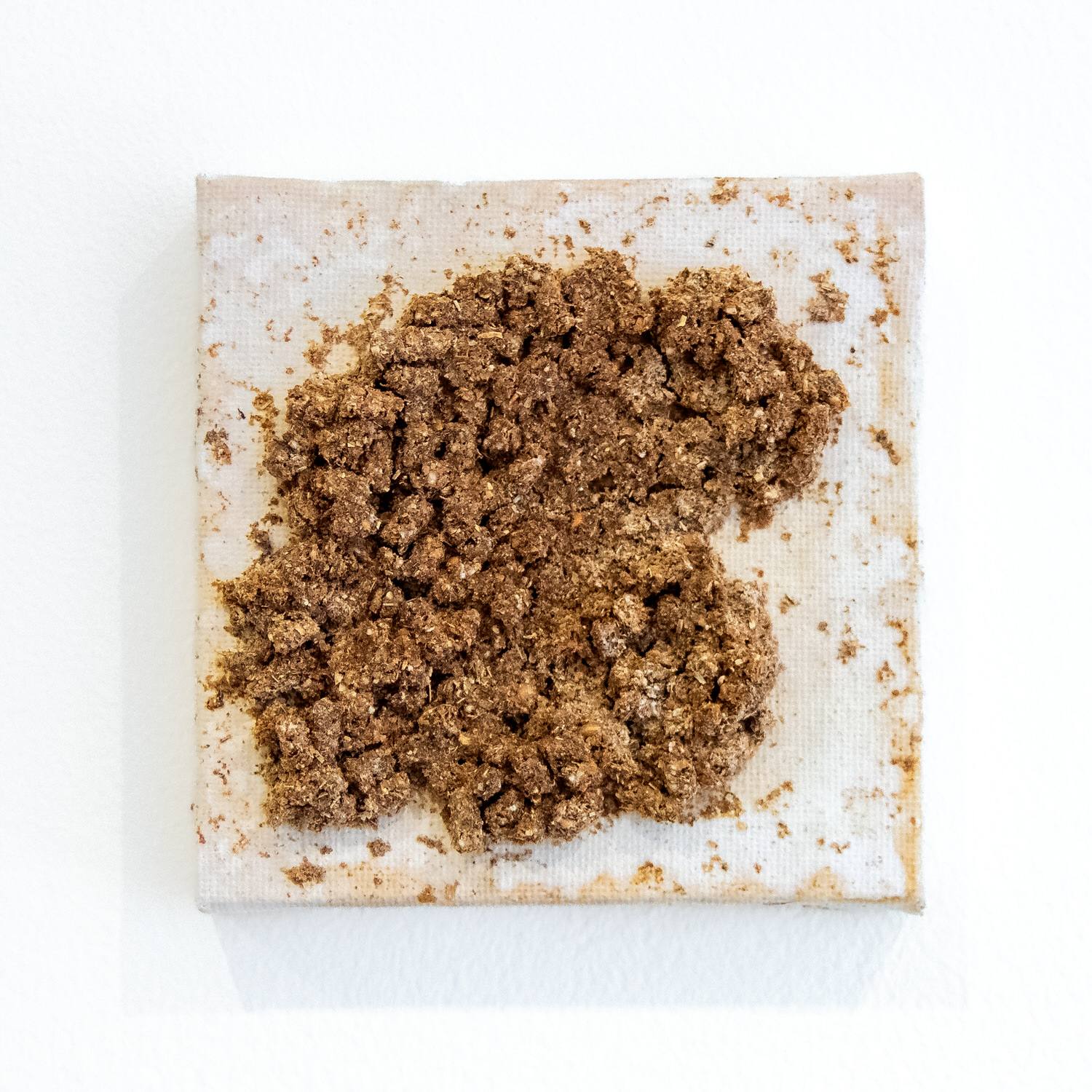 Untitled (Chicken Stingel: Canvases) W4