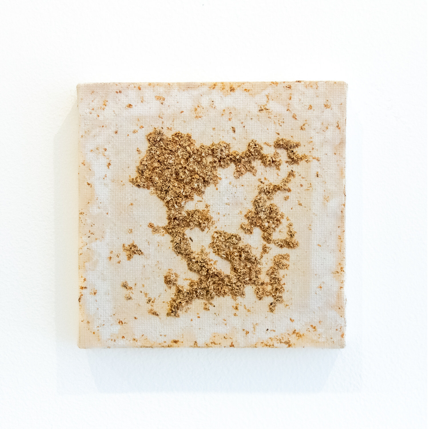 Untitled (Chicken Stingel: Canvases) W5