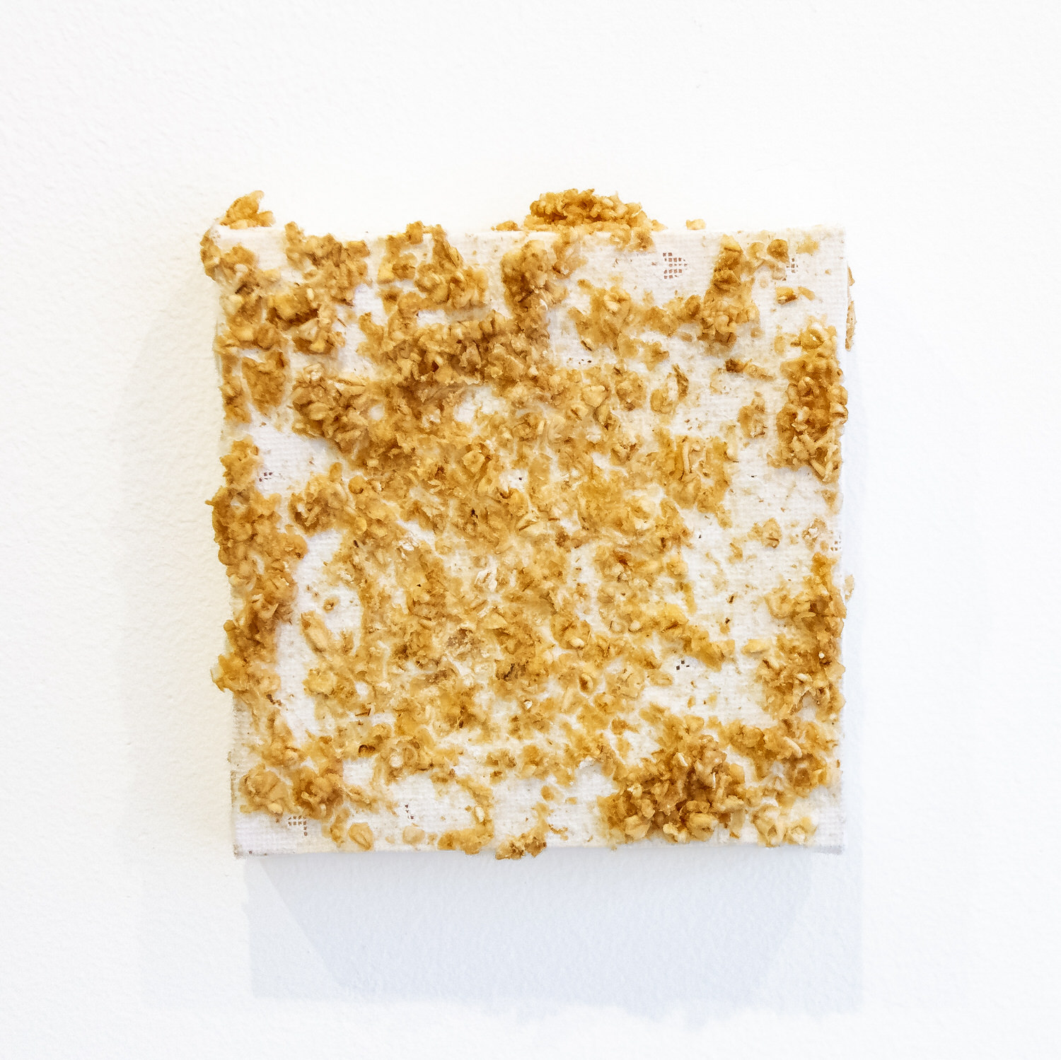 Untitled (Chicken Stingel: Canvases) W6