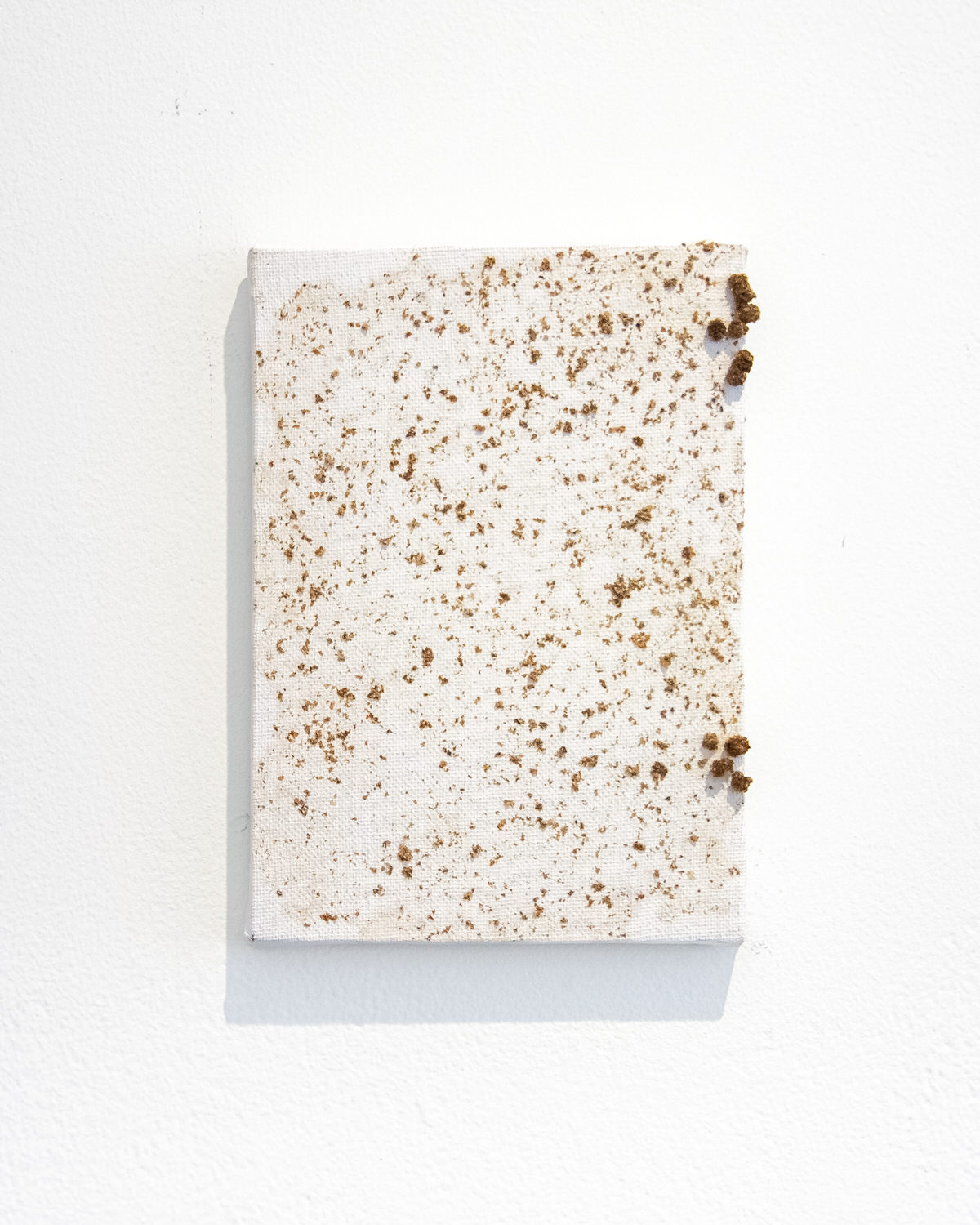 Untitled (Chicken Stingel: Canvases) W7